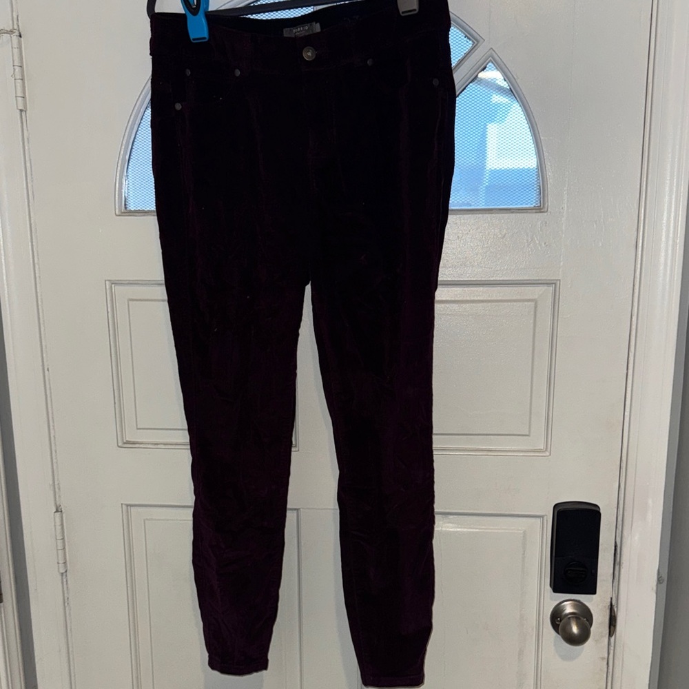 Torrid Bombshell Skinny Pants in Deep Purple
